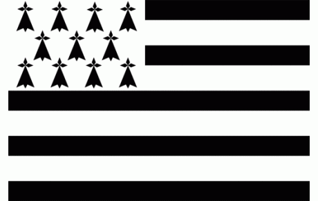 Equipe de Bretagne : Défaite en 1/4 de finale de la coupe des régions